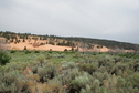 #9: View of Coral Pink Sand Dunes State Park enroute.