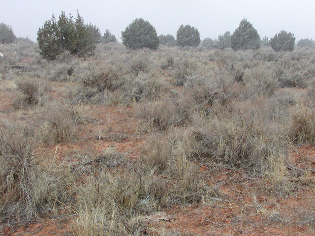 This picture shows the confluence, in a snowstorm.