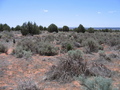 #3: View to the south