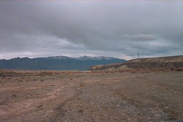 View towards Mormon Springs.