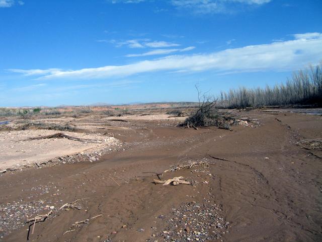 View north towards confluence from under the power lines