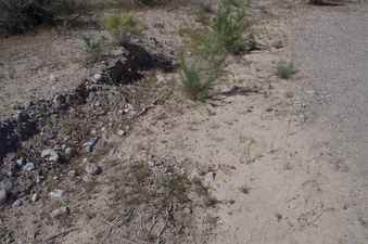 #1: The confluence point lies on the edge of a creek bed