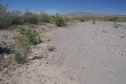 #2: View North (towards a fence that appears to mark the Arizona-Utah state line)