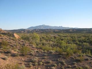 #1: General view of the confluence as seen from a small bluff about 30 meters to the west. The confluence lies in the sandy wash below, set apart from the tamarisk trees. In back is West Mountain Peak.