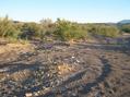 #2: North view and the state-line fence