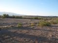 #3: South view