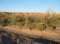 #4: West view