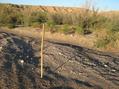 #7: I used my hiking staff to mark the exact point.