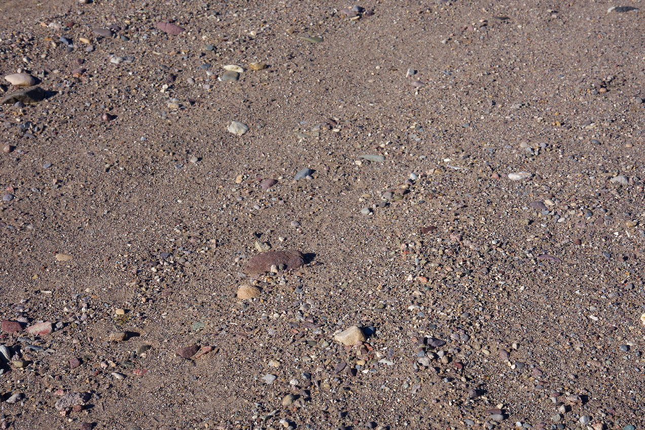 Ground cover at the confluence point