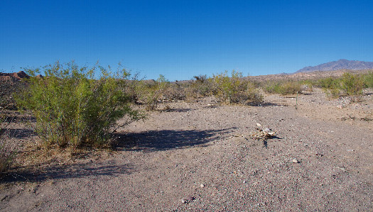 #1: The confluence point lies in a (currently dry) creek bed.  (This is also a view to the North, into Utah.)