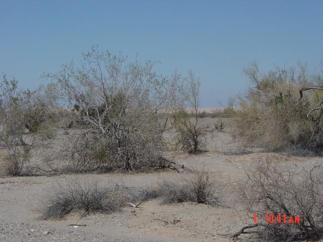 The Imperial Dunes to the west.