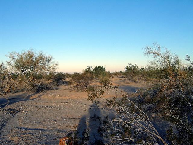 View to West - notice my dog sneaking in at bottom!