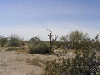 #1: The confluence looking west