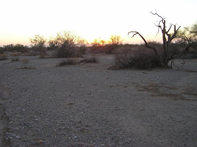 View West (into the setting Sun)