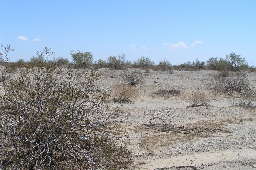 View to the south from the confluence.