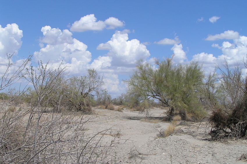 View to the east from the confluence.