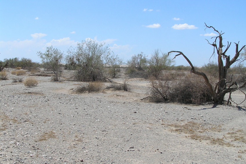 View to the west from the confluence showing the Imperial Sand Dunes in the far distance.