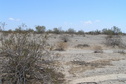 #3: View to the south from the confluence.