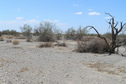 #6: View to the west from the confluence showing the Imperial Sand Dunes in the far distance.