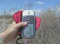 #7: GPS reading at the confluence.