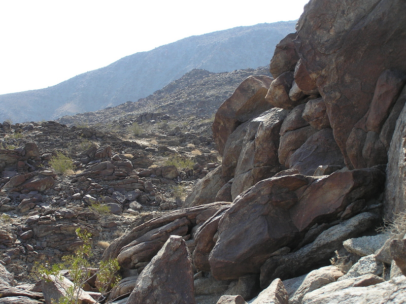 View to the east from the confluence.