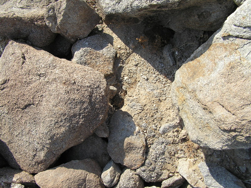 Ground cover at the confluence.  Not much "cover" here...just boulders.