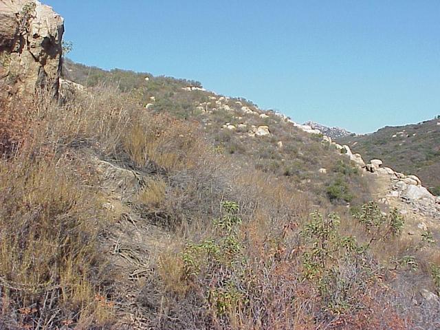 View to the east from the confluence.