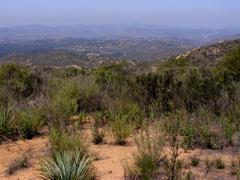 Looking toward San Diego