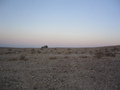 #2: Looking north from the confluence - that's how close the jeep got