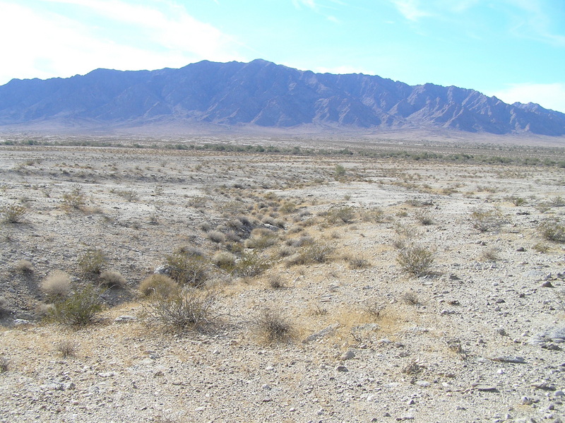 View to the west from the confluence.