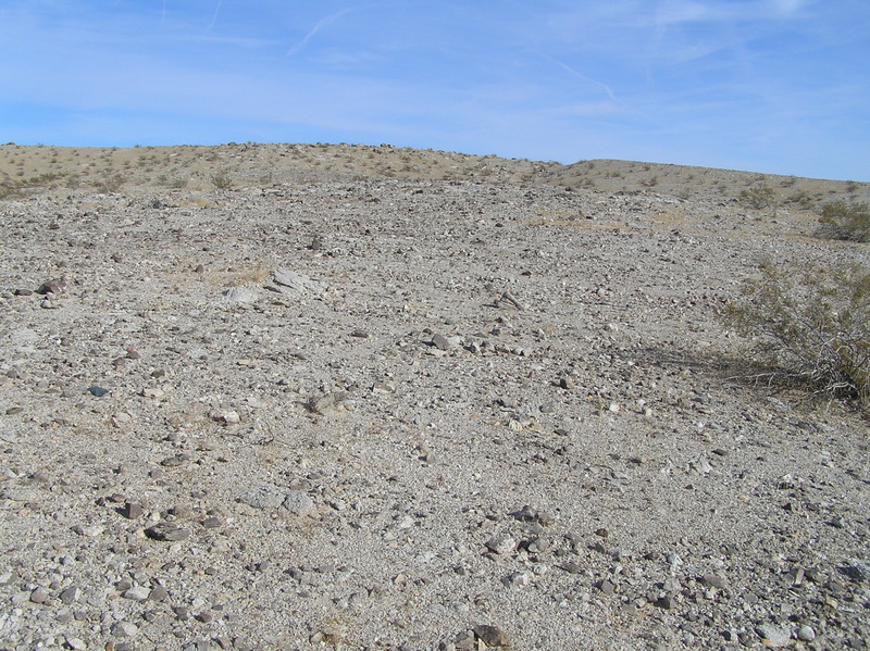 View to the east from the confluence.