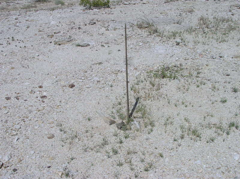 A wooden post, about 200 feet from the true confluence point