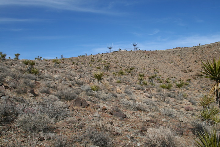 This picture shows the confluence in center foreground with the NPS radio towers in the background.