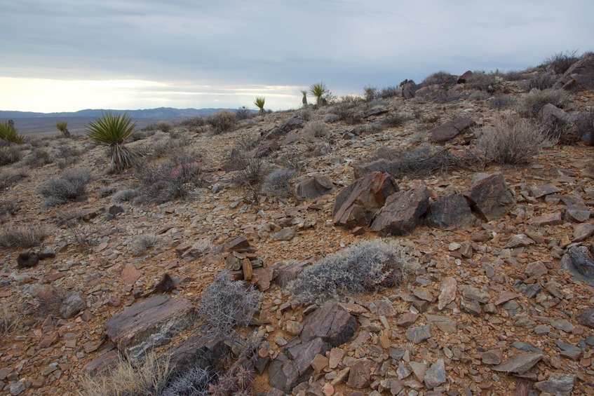 The confluence point lies near the top of a rock-strewn hill