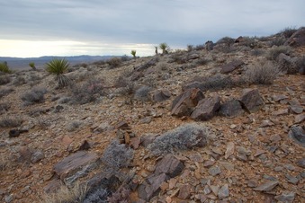 #1: The confluence point lies near the top of a rock-strewn hill