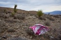 #10: This stray mylar balloon has, coincidentally, made a successful visit to the point