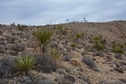 #2: View North