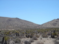 #9: view of CP area from Belle campground