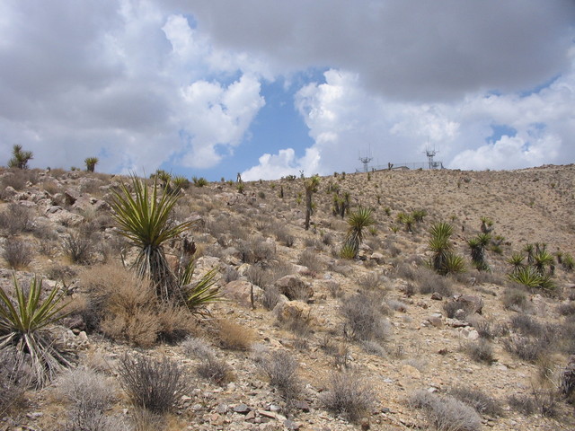 View from the confluence to the north