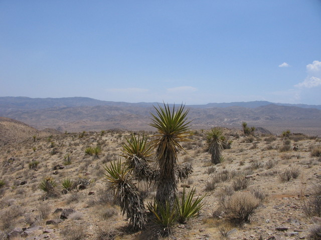 View from the confluence to the south