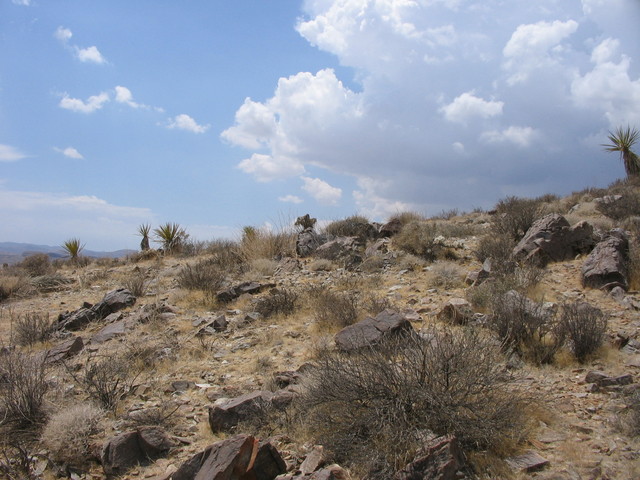 View from the confluence to the west