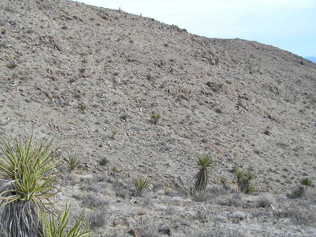 View to the east from the confluence.