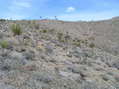 #3: View to the north from the confluence.