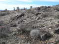 #4: View to the west from the confluence point.