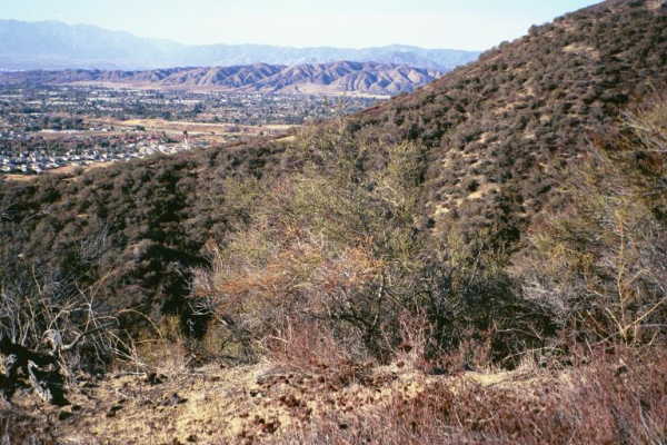 A view back down at the Calimesa area from the confluence point.  (The anal-retentive gated community is to the right).