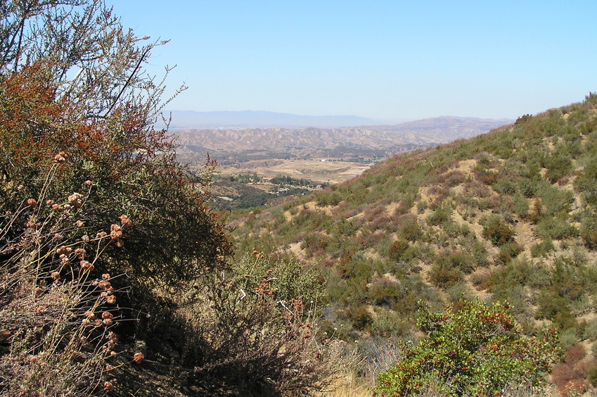 View to the west from the confluence point.