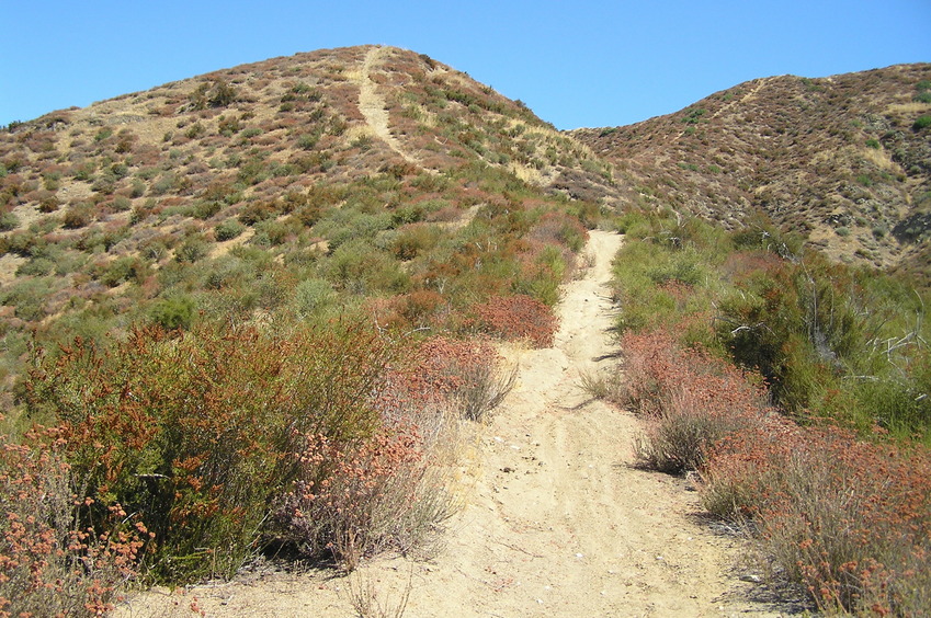 Trail through the chaparral, 300 meters north of the confluence.