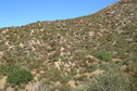 #4: View to the north from the confluence.