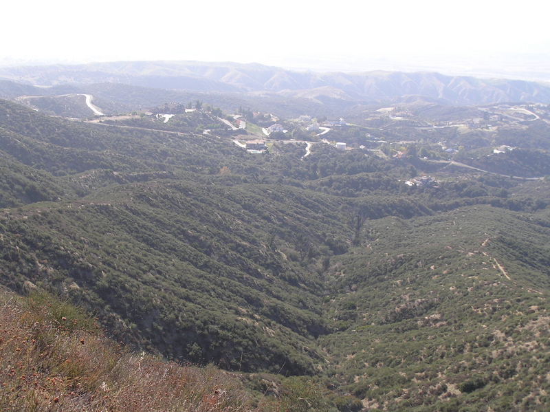 A different view of the confluence, from the ridge to the east, looking west at the point, located in the bottom of the ravine near the large bare trees.