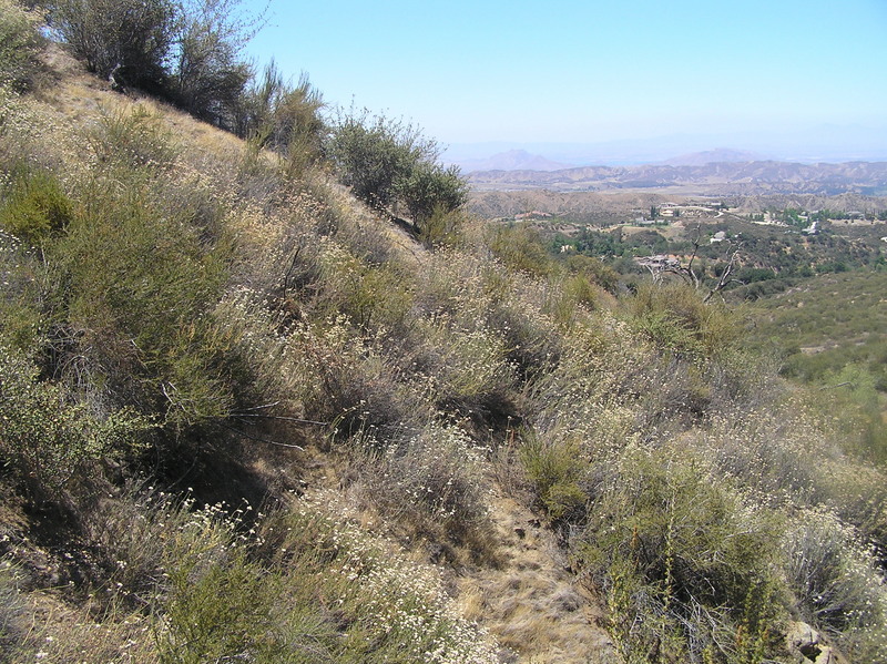 View to the west from the confluence.